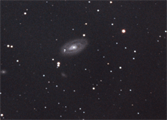 Leo Galaxy Cluster