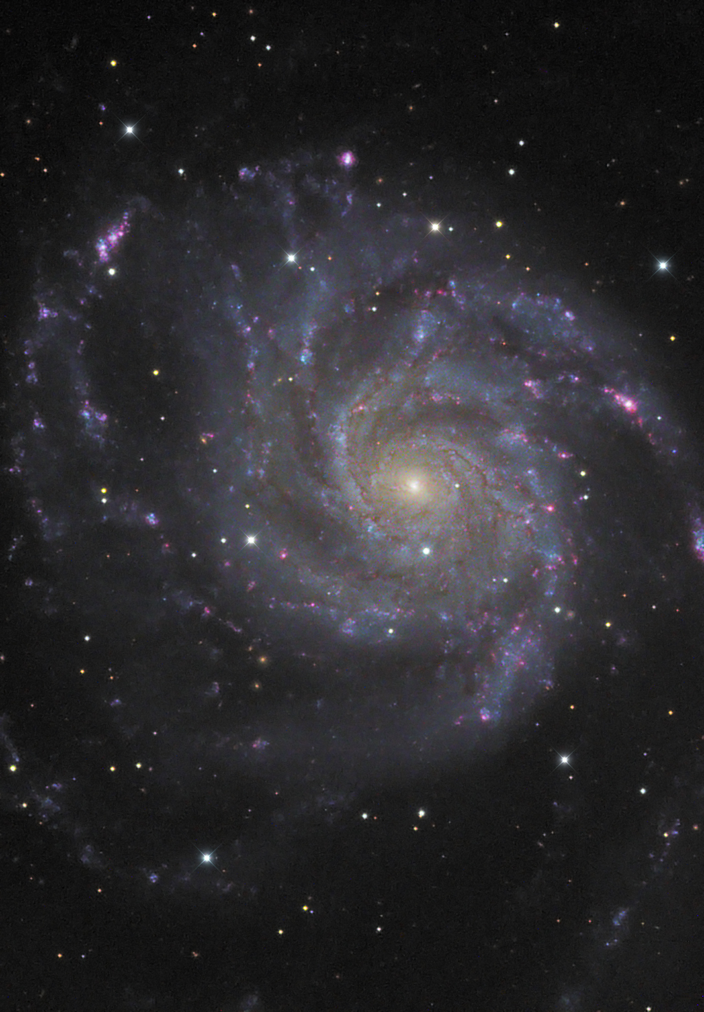 Spiral Galaxy