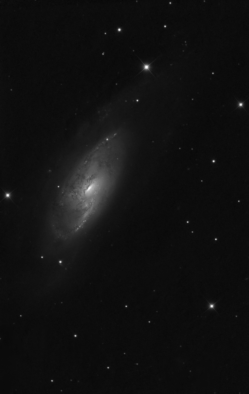 Spiral Galaxy