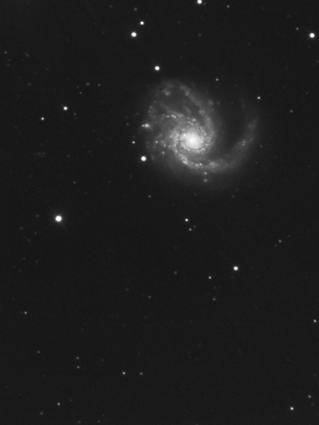 Spiral Galaxy