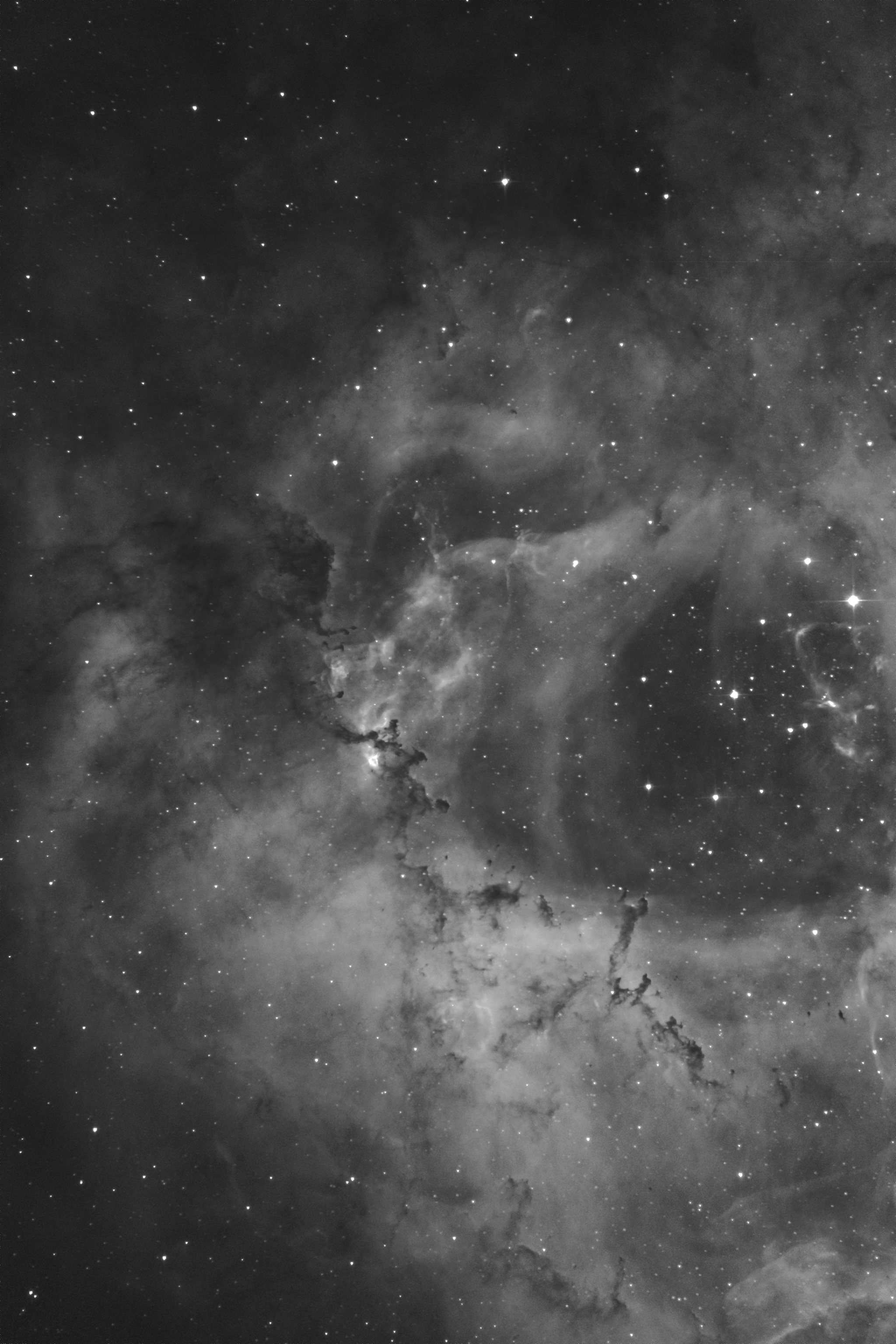 Rosette Nebula