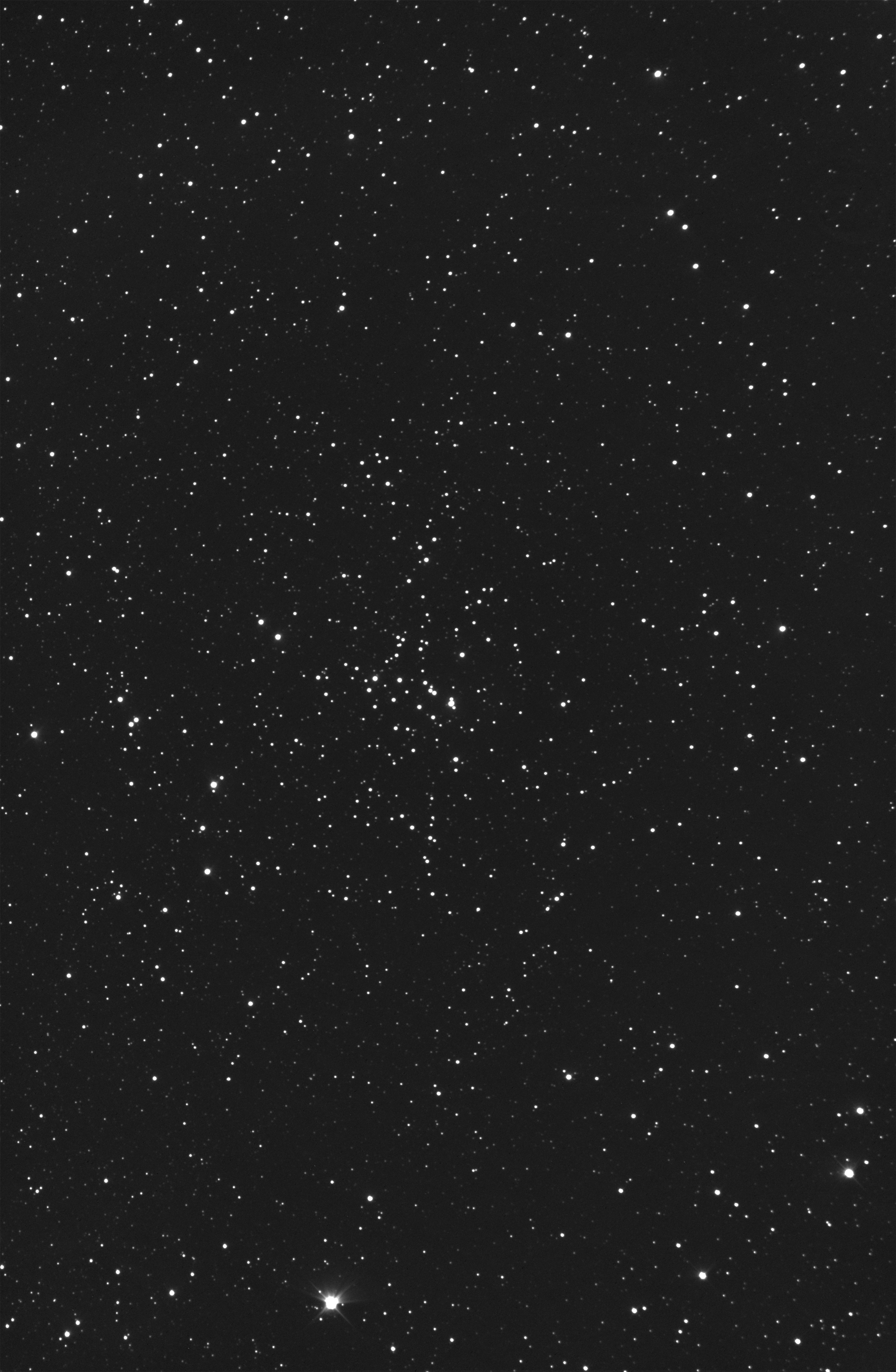 Open Cluster