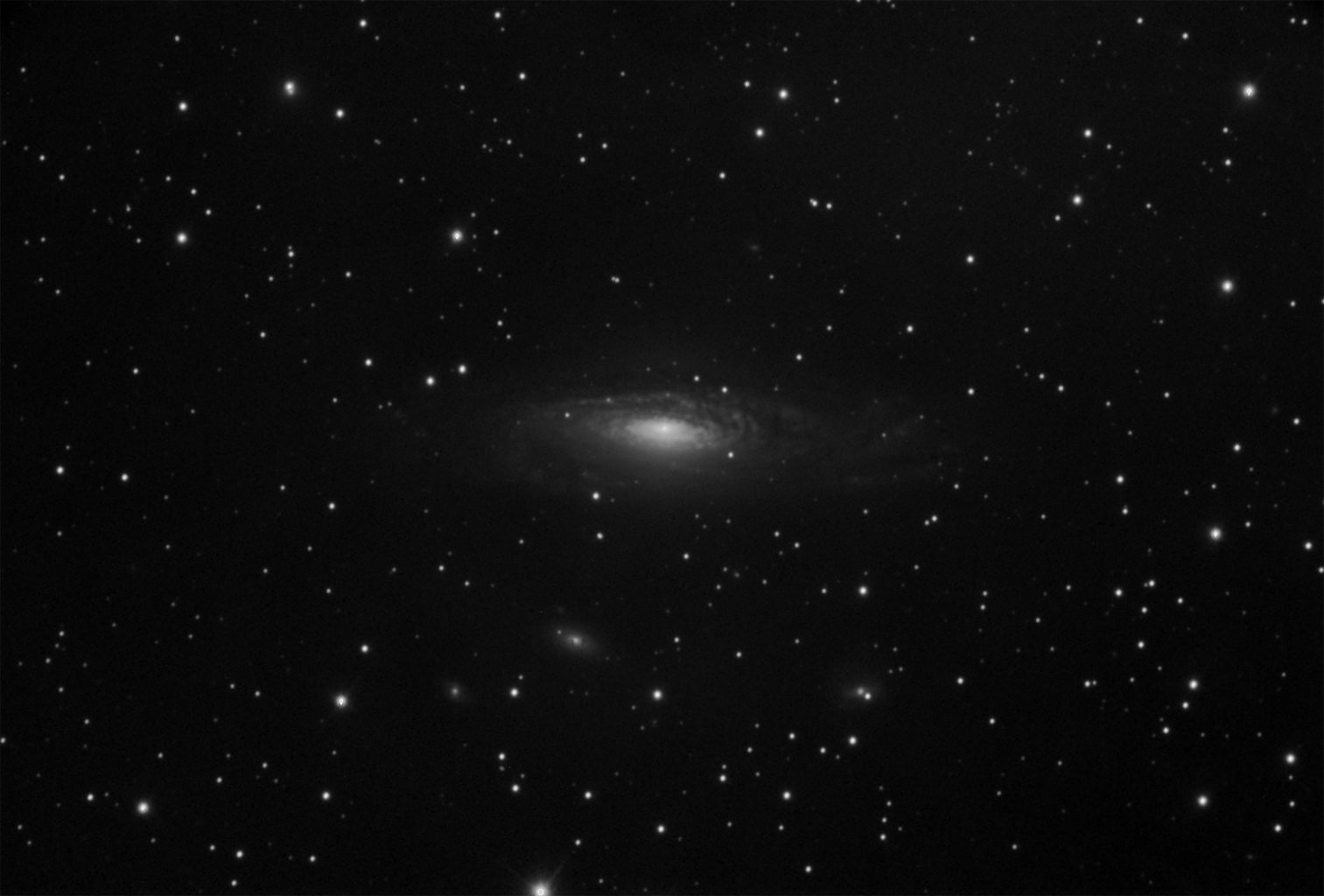Spiral Galaxy