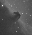 IC434-B33 - Horsehead Nebula