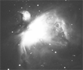 M42 - Great Nebula