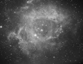 NGC2244 - Rosette Nebula