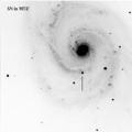 SN 2005M51 - Canes Venatici
